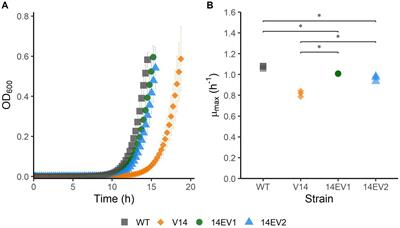 Ribosomal mutations enable a switch between high fitness and high stress resistance in Listeria monocytogenes